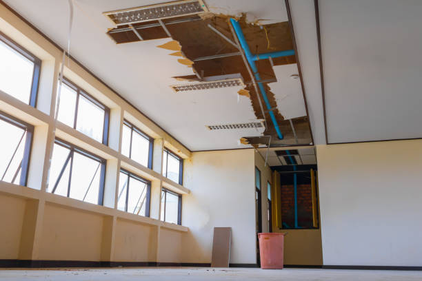  New Tazewell, TN Water damage restoration Pros