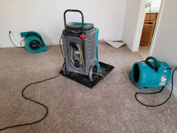 Best Basement water damage restoration  in New Tazewell, TN