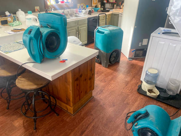 Best Sewage cleanup and water damage restoration  in New Tazewell, TN