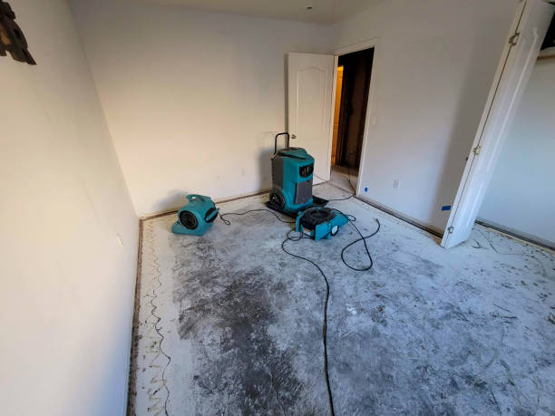 Best Water damage restoration near me  in New Tazewell, TN