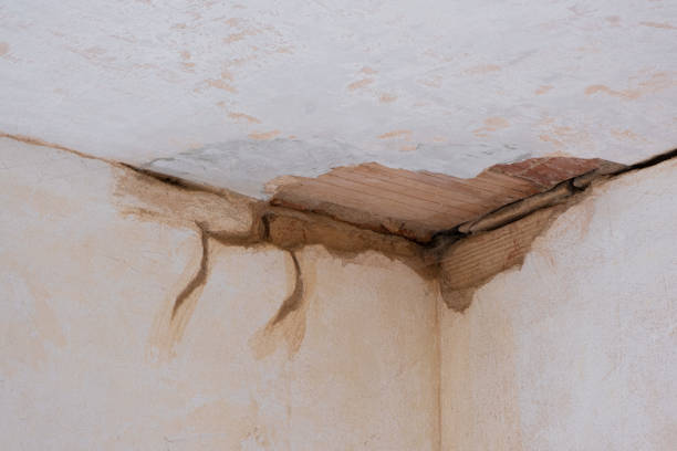 Best 24/7 water damage repair  in New Tazewell, TN
