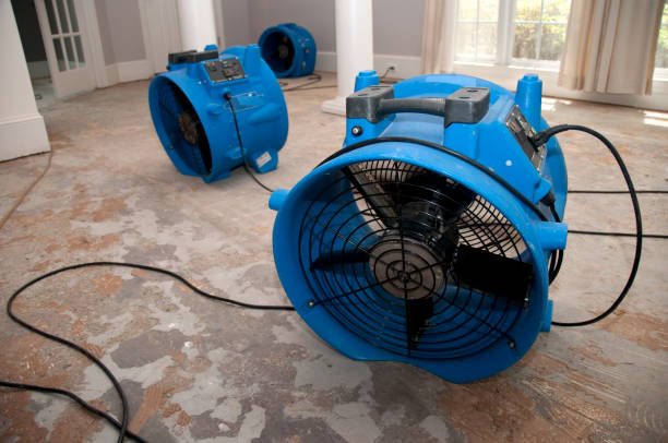 Best Residential water damage restoration  in New Tazewell, TN