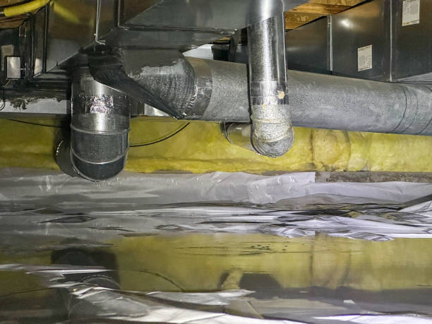Best Carpet water damage restoration  in New Tazewell, TN