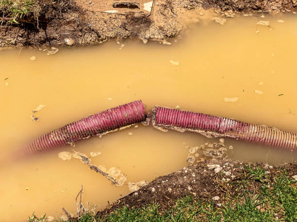 Best Emergency water damage restoration  in New Tazewell, TN