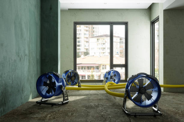 Best 24/7 water damage repair  in New Tazewell, TN