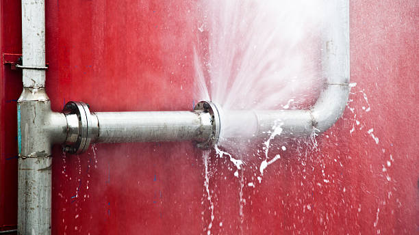 Best Ceiling water damage repair  in New Tazewell, TN