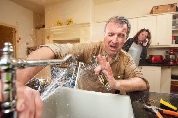 Best Flood restoration services  in New Tazewell, TN